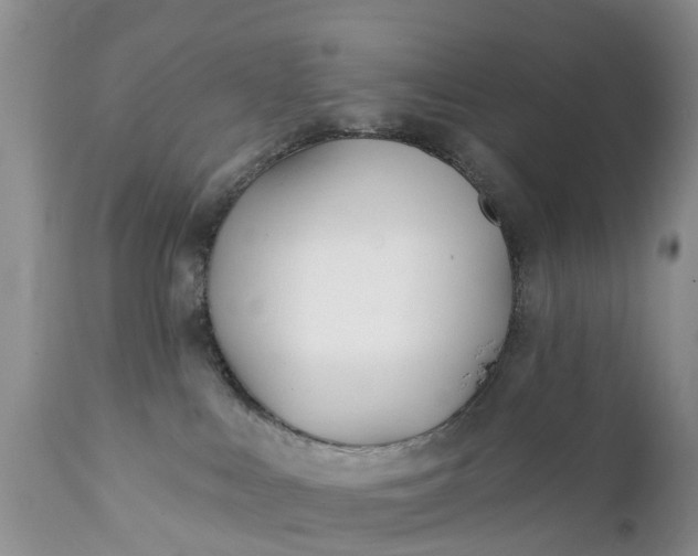 X0000111380043200907241320