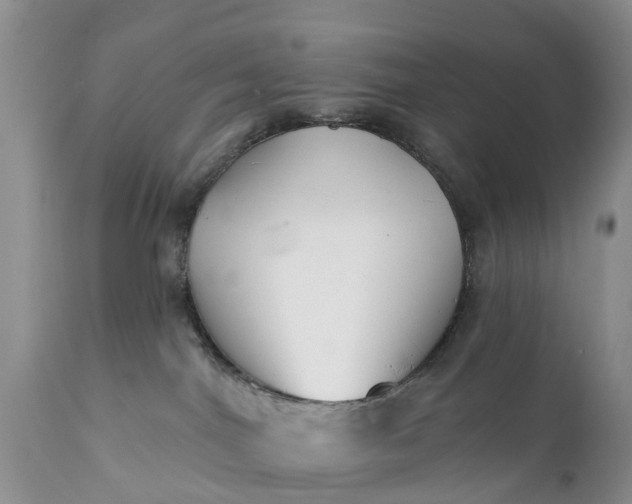 X0000111380044200907241320