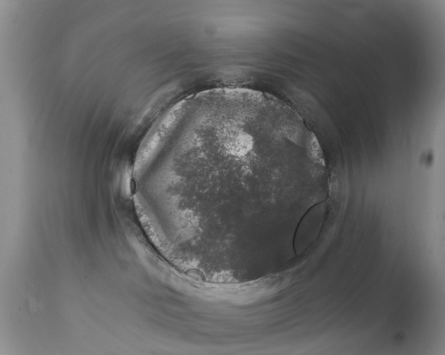 X0000111380046200907241320