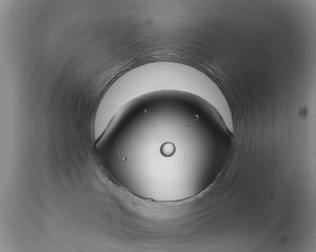 X0000111380047200907241320