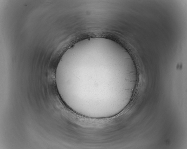 X0000111380048200907241320