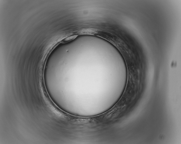 X0000111380049200907241319