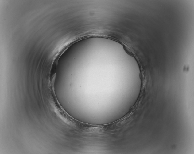 X0000111380050200907241319