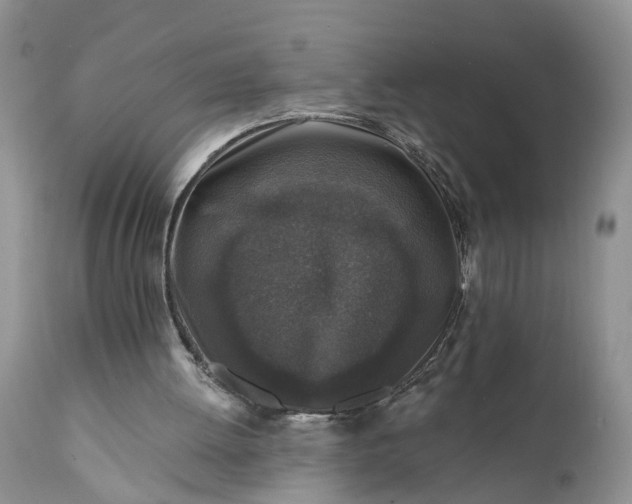 X0000111380052200907241319