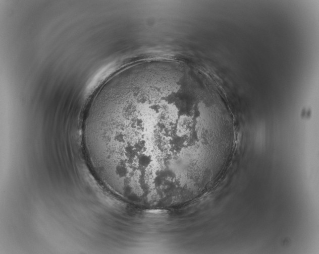 X0000111380053200907241319