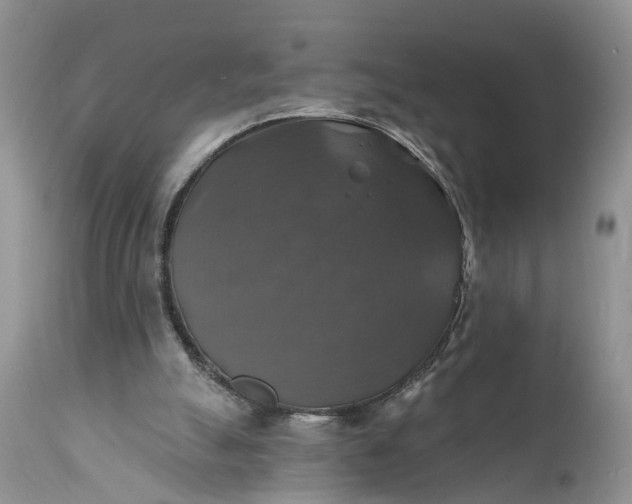 X0000111380055200907241319