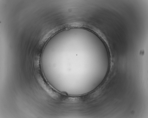 X0000111380057200907241319