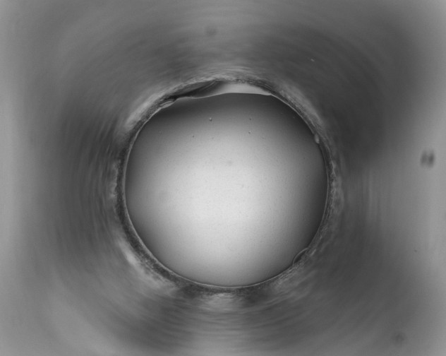 X0000111380058200907241319