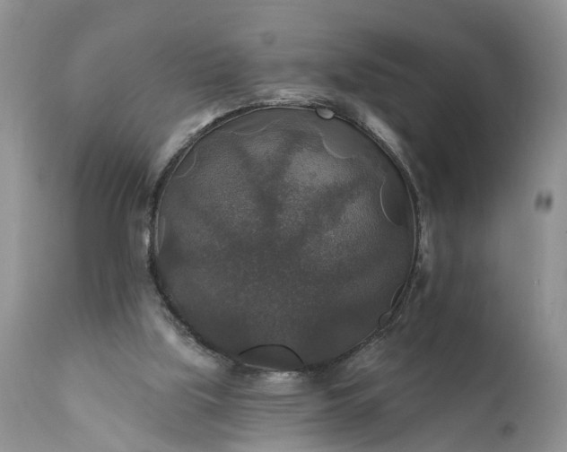 X0000111380059200907241319