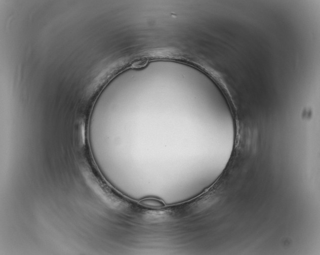 X0000111380061200907241319