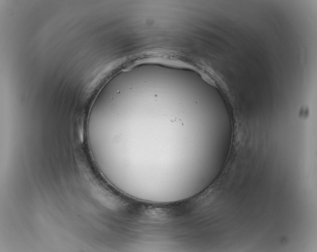 X0000111380062200907241319