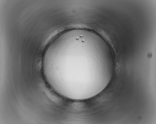 X0000111380063200907241319