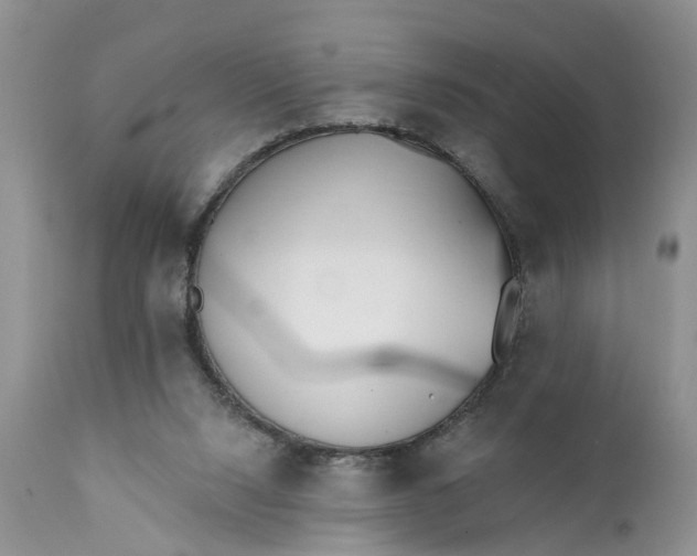 X0000111380064200907241319