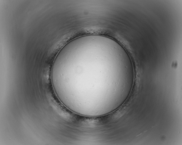 X0000111380065200907241319