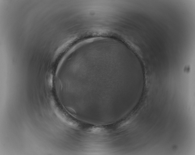 X0000111380067200907241319