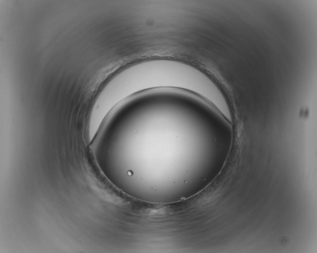 X0000111380068200907241319