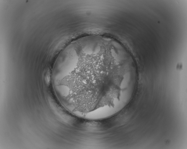 X0000111380069200907241319