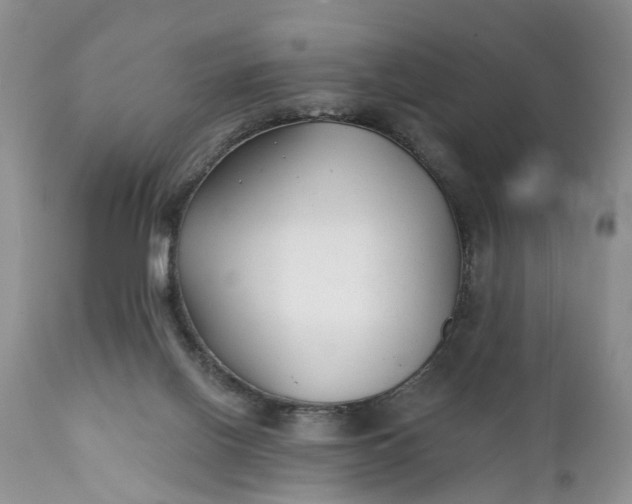 X0000111380070200907241319