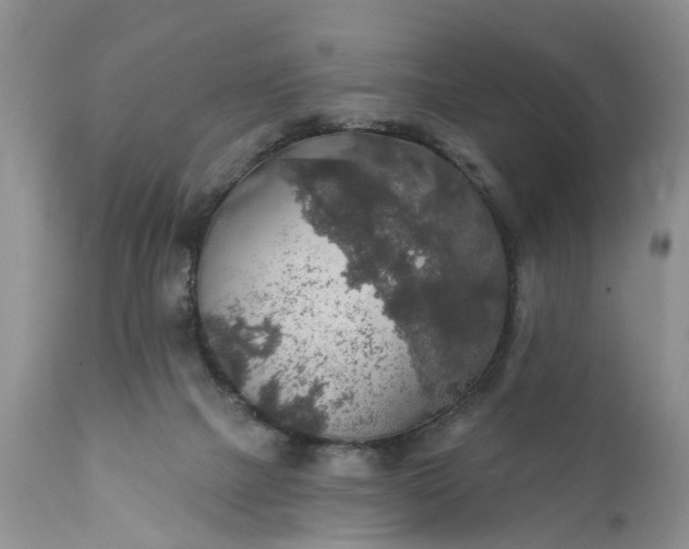 X0000111380073200907241319