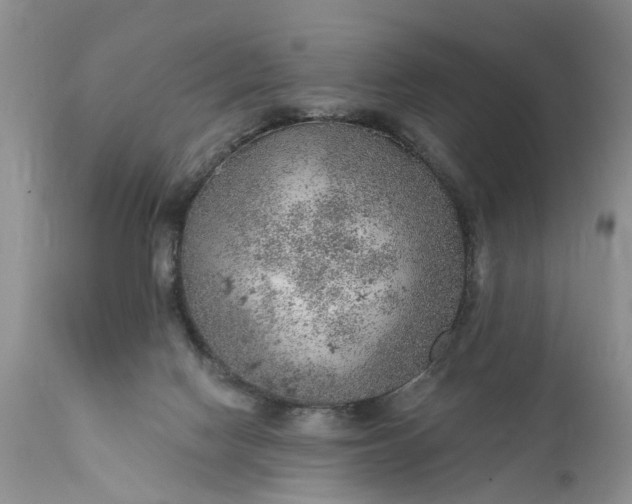 X0000111380074200907241320