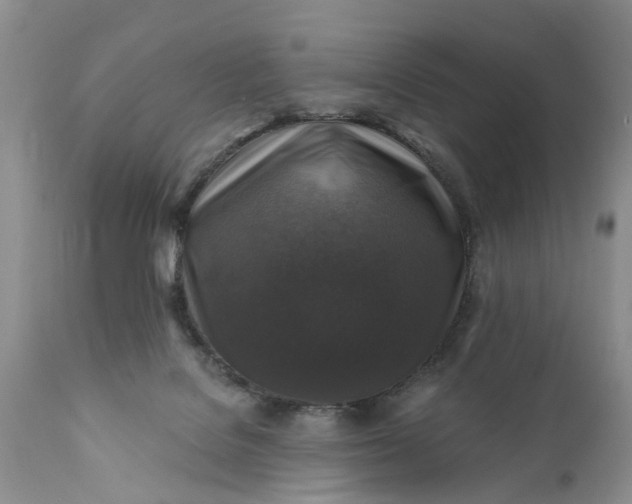 X0000111380076200907241320