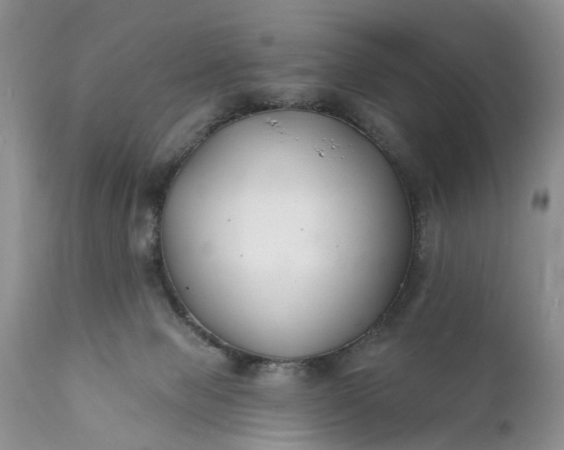 X0000111380077200907241320