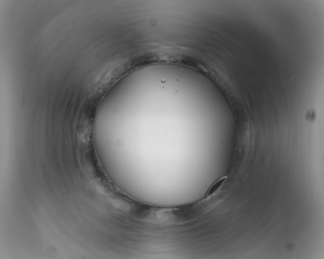 X0000111380078200907241320