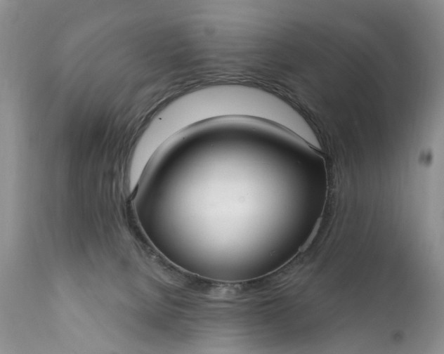 X0000111380080200907241320