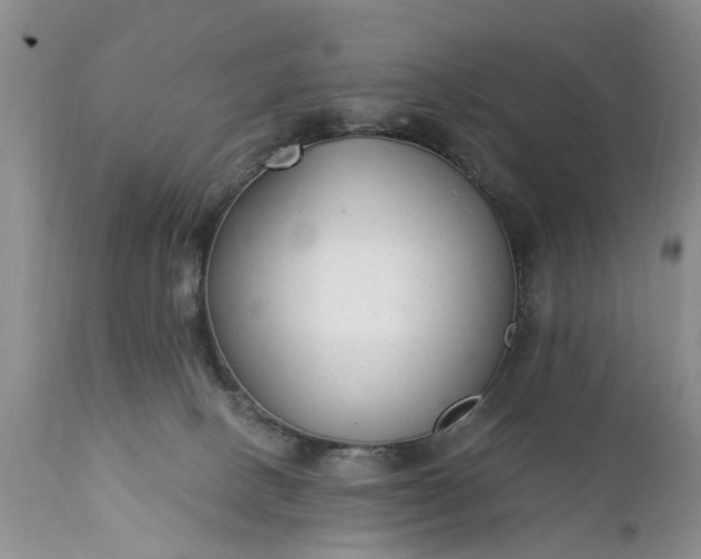 X0000111380082200907241320