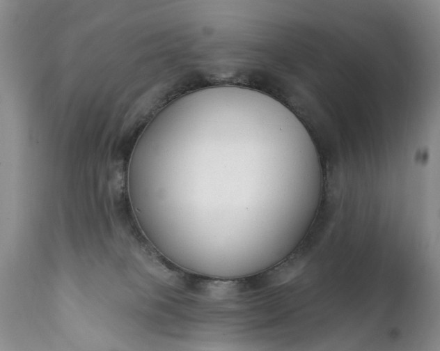 X0000111380085200907241320