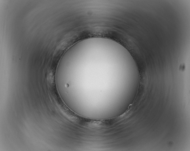 X0000111380086200907241320