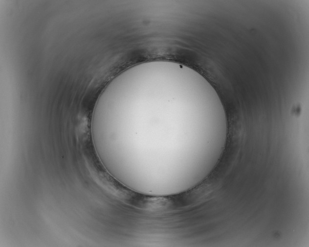 X0000111380087200907241320