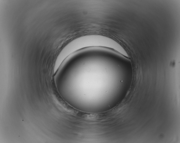 X0000111380088200907241320