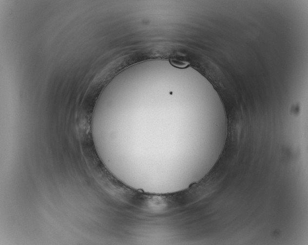 X0000111380091200907241320