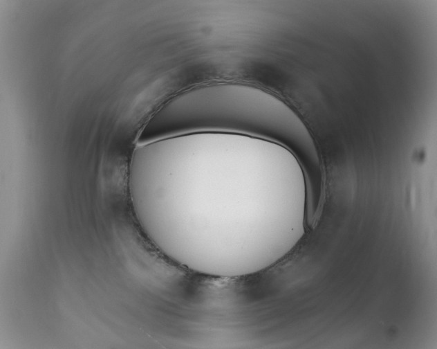 X0000111380092200907241320