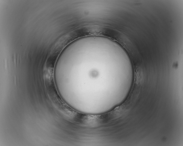 X0000111380093200907241320