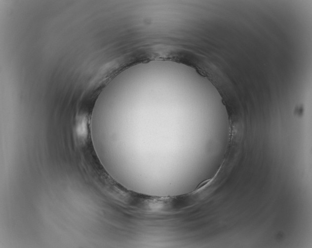 X0000111380094200907241320