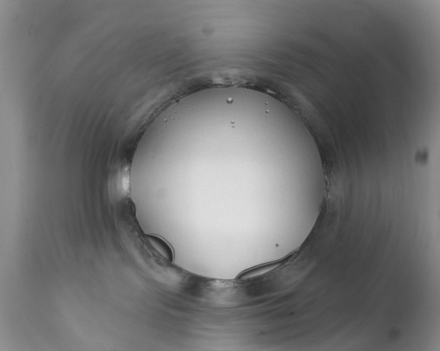 X0000111380095200907241320