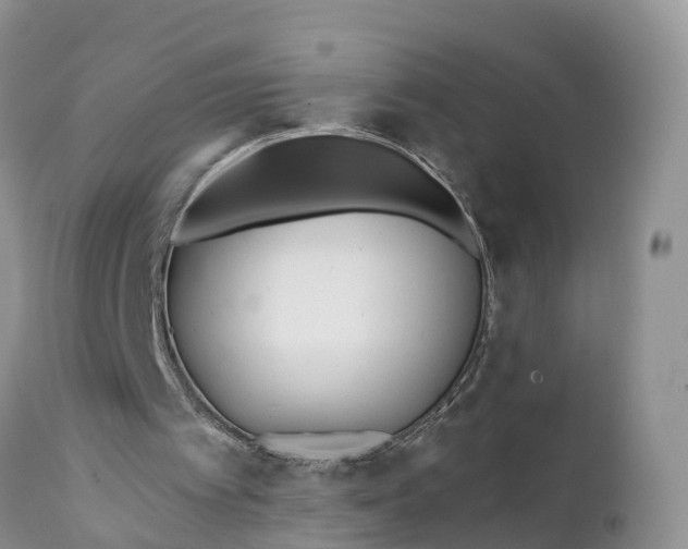 X0000111380097200907241319