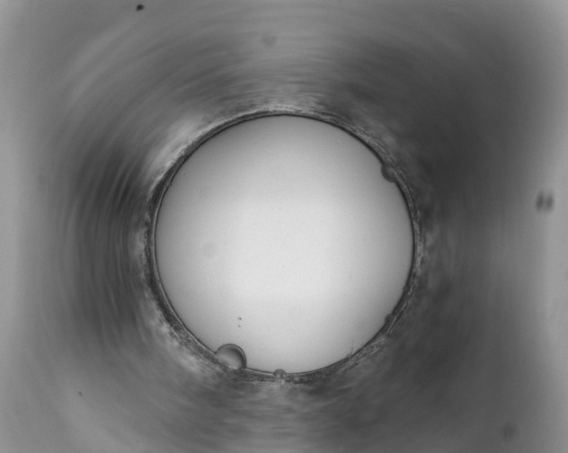 X0000111380098200907241319