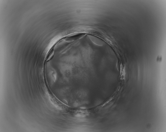 X0000111380099200907241319