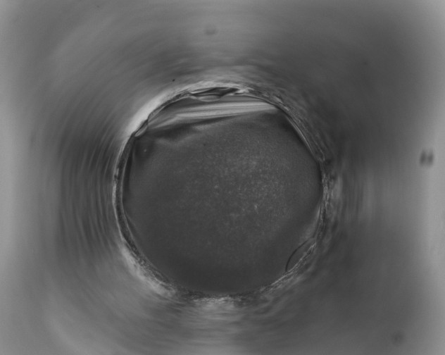 X0000111380100200907241319