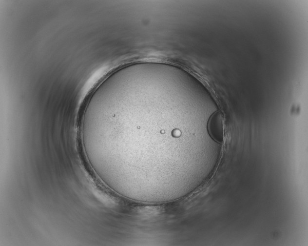 X0000111380102200907241319