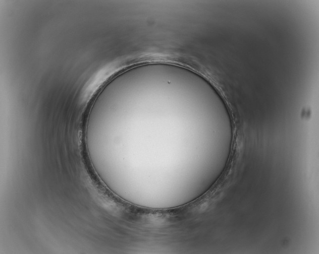 X0000111380103200907241319