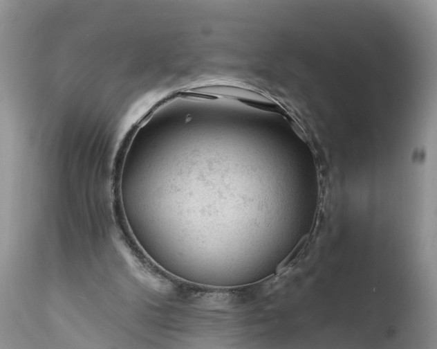 X0000111380104200907241319