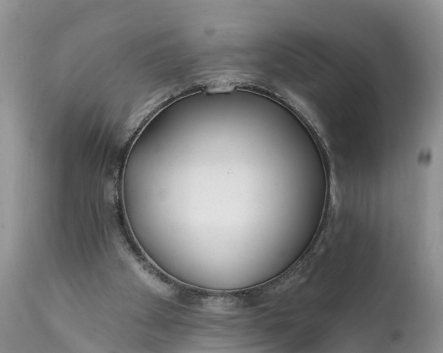 X0000111380105200907241319