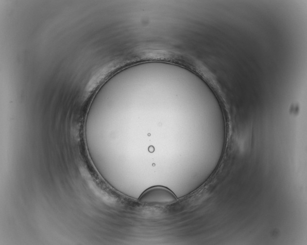 X0000111380106200907241319