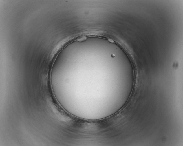 X0000111380107200907241319