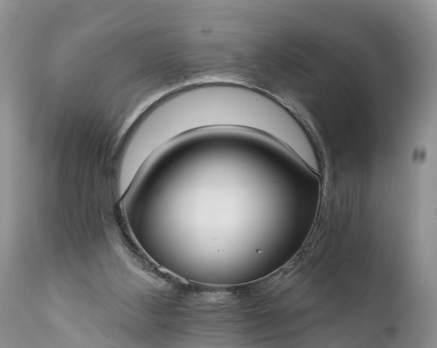 X0000111380108200907241319