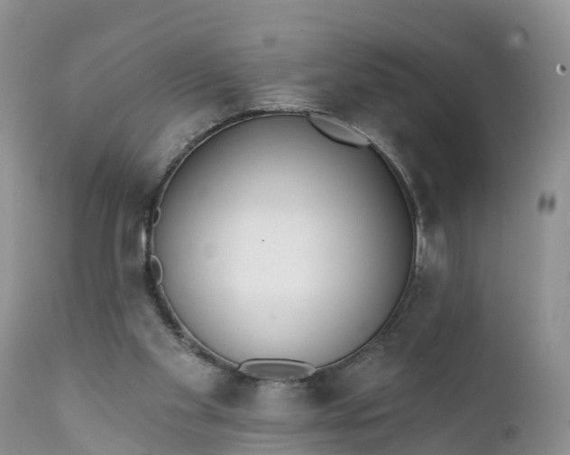 X0000111380109200907241319